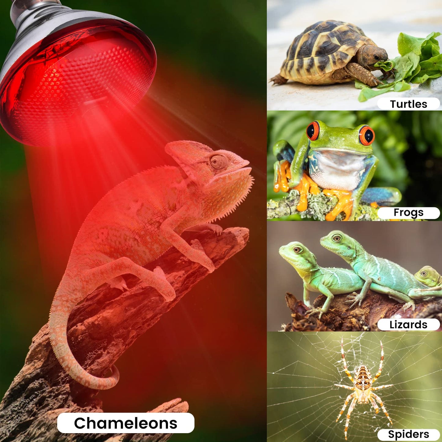 YEAOI Heat Lamp for Chickens Coop Brooder and Reptile Heat Bulb 150 Watt Infrared Red Light
