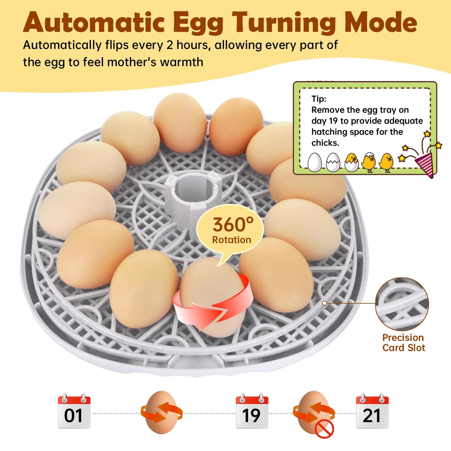Egg Incubator for Hatching Chicks, Automatic Egg Turner Holds 12 Eggs, Smart Incubator 360° Clear Window with Temperature Display Egg Candler for Small Poultry Chickens Ducks Quails Eggs