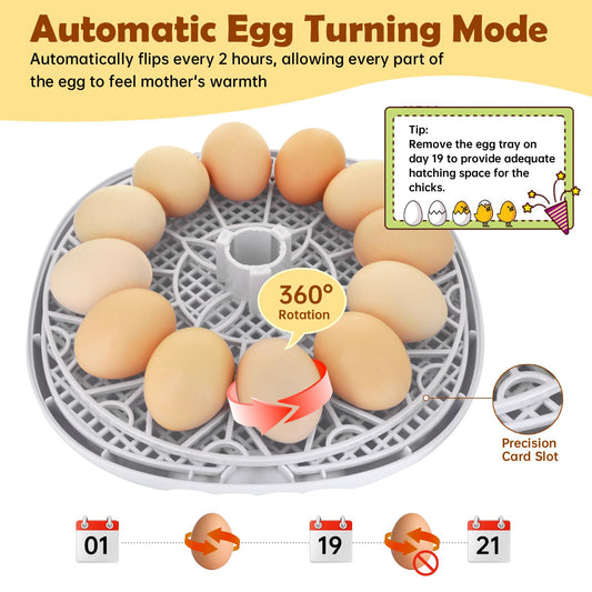 Egg Incubator for Hatching Chicks, Automatic Egg Turner Holds 12 Eggs, Smart Incubator 360° Clear Window with Temperature Display Egg Candler for Small Poultry Chickens Ducks Quails Eggs