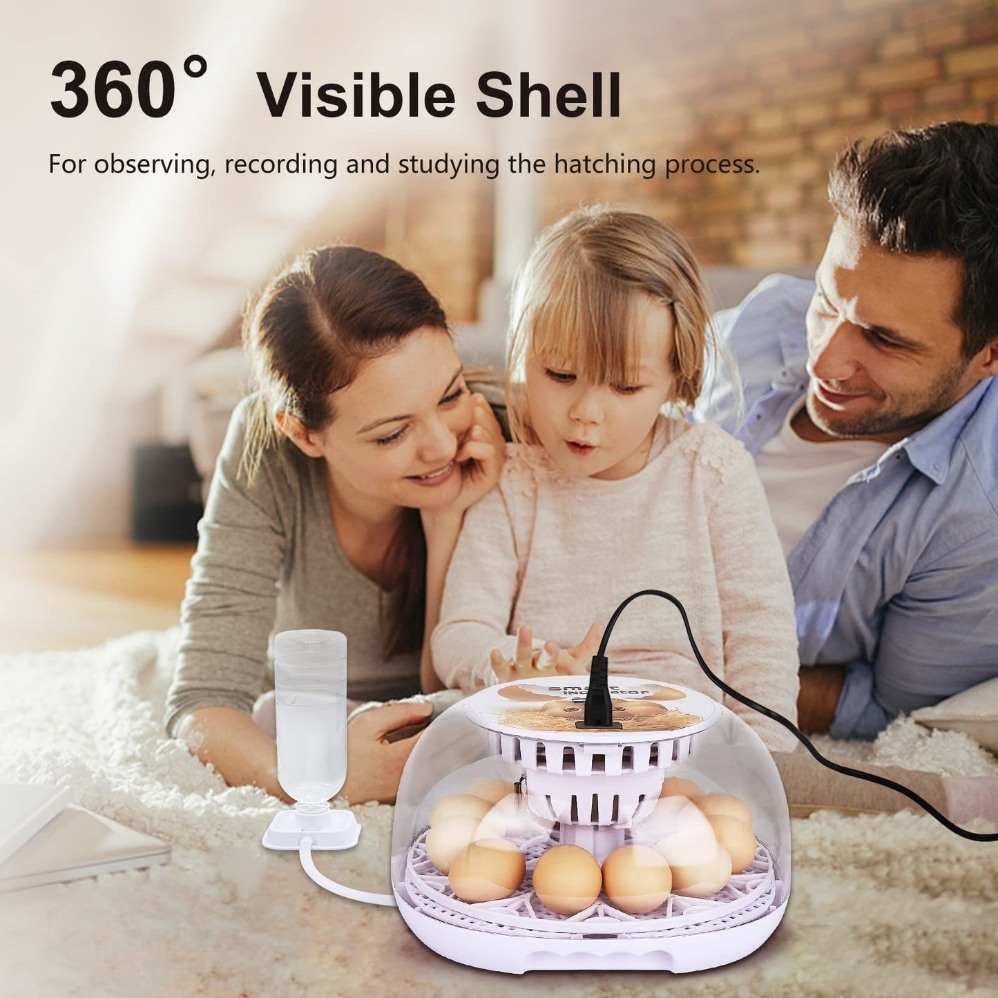 NORJIN Egg Incubator, 12 Eggs Incubator for Hatching Eggs, Digital Incubator Chicken Egg Incubator with Automatic Egg Turning and Water Adding for Hatching Chickens Birds Ducks