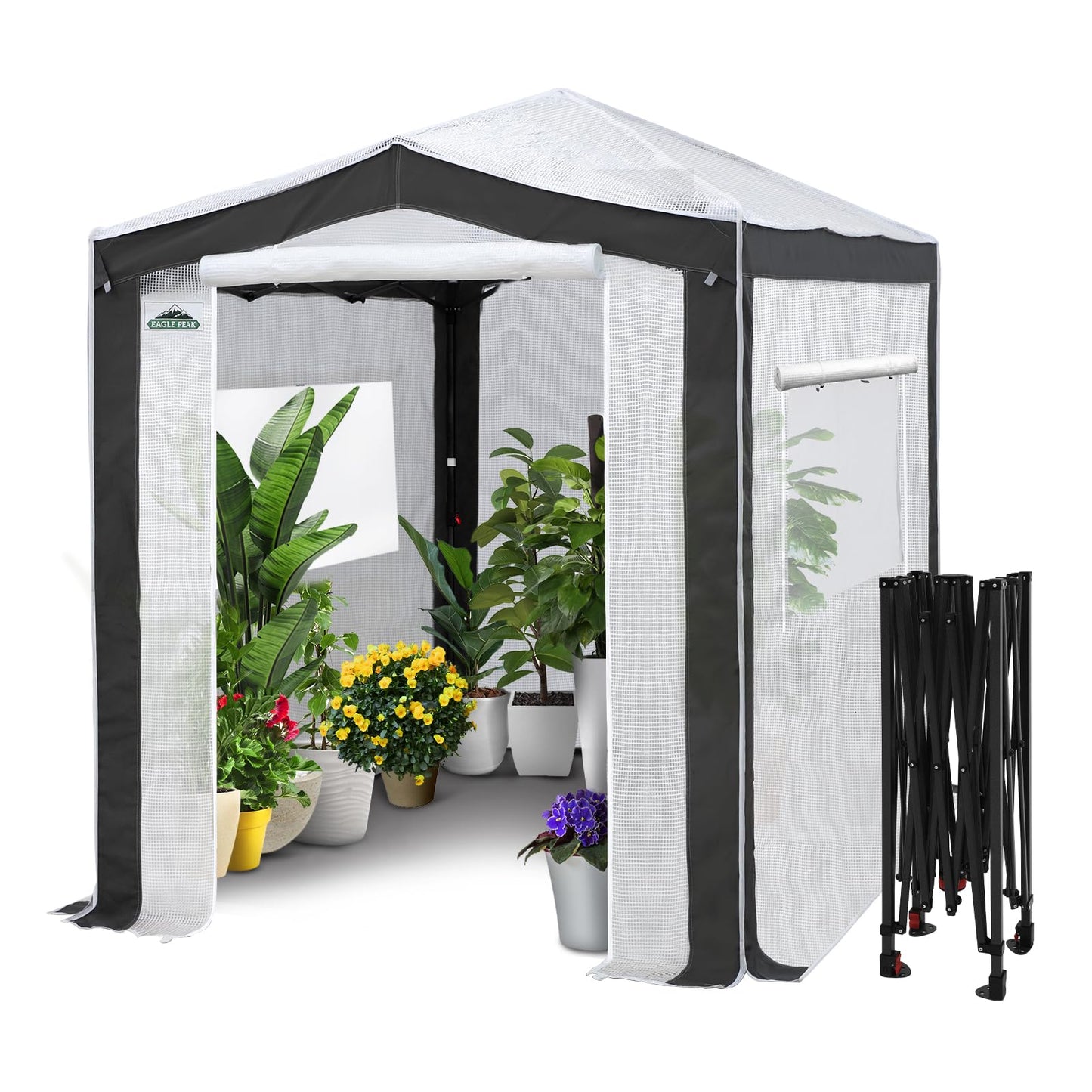 EAGLE PEAK 8x6 Portable Walk in Greenhouse with Polyester Reinforced Corners, Instant Pop Up Indoor Outdoor Gardening Green House, Roll Up Zipper Entry Doors and Mesh Windows, Gray/White