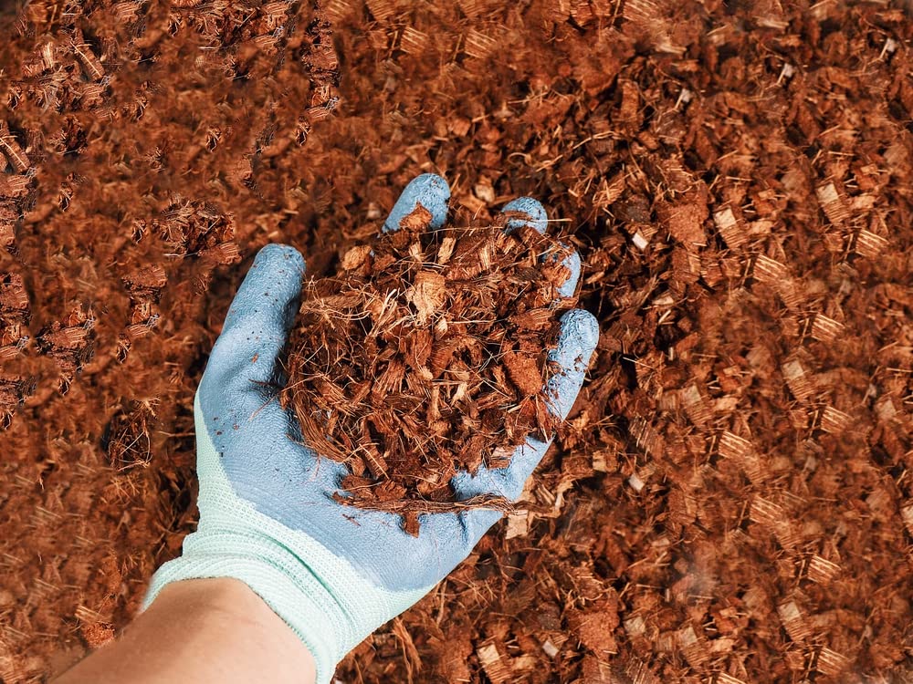 Coco Coir Husk Chips 4-Pack – 2.4 Cu. Ft. Compressed Coconut Coir Bricks, 10 lb. Natural Substrate for Indoor & Outdoor Use, Orchid Bark Alternative, Orchid Potting Mix, Indoor Plant Soil
