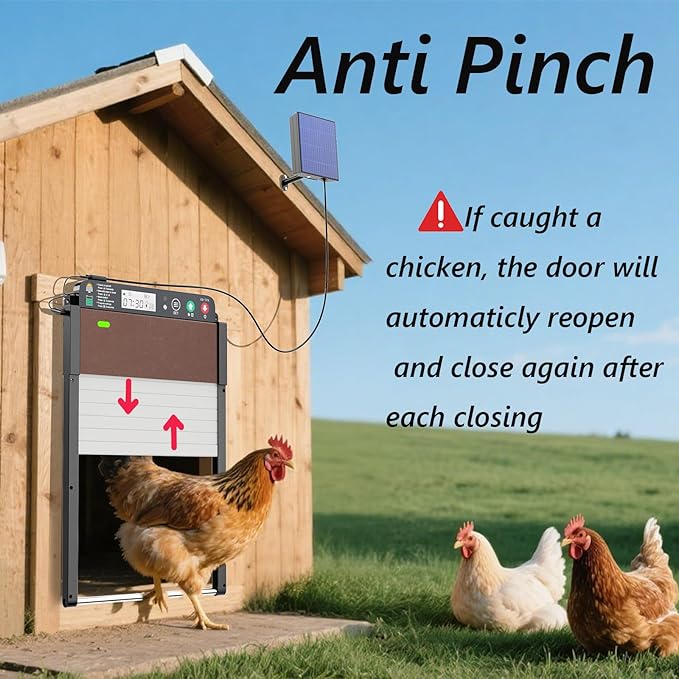 Automatic Chicken Coop Door Solar Powered with Timer&Light Sensor&Manual&Remote, Roller Chicken Door Opener, Anti Pinch,Large Poultry Aluminum Alloy Run Chicken Door with Battery
