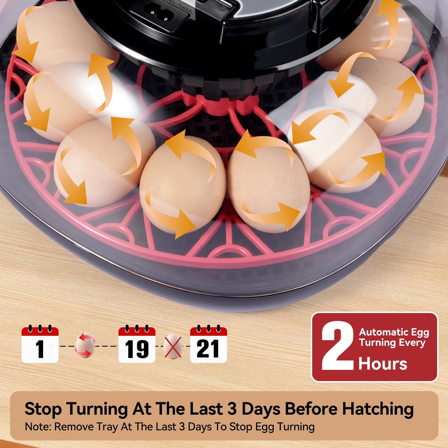 Humorrap 12 Egg Incubators with Temperature and Humidity Control Automatic Eggs Turner Egg Candler for Hatching Chicken