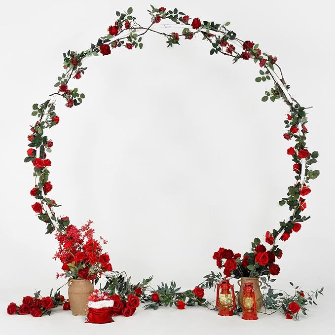Round Backdrop Stand Circle Arch, 6.5ft White Metal Balloon Arch Kit for Party Decoration Wedding Arch Flower Ring Stand Harfirbe