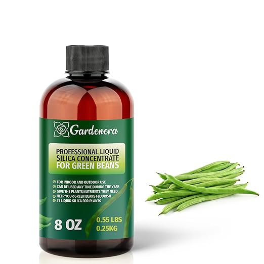 𝐏𝐑𝐄𝐌𝐈𝐔𝐌 Liquid Silica Plant Supplement - 8oz (250mL) - Green Beans Plants Liquid Silica Boost Fertilizer - Stronger Stems & Healthy Leaves for Indoor & Outdoor Green Beans (Makes 45 Gallons)