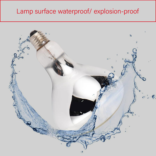 FSCHLELUX Incandescent R40 Reflector Infrared Lamp, Explosion Proof Clear Glass, E26 Base, Heat Lamp Bulb 250W for Reptiles, Turtles, Pets, Calves and Lambs, Chicks and Bathroom, 2 Pack (R40INC)