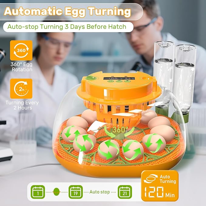 Incubators for Hatching Eggs, 12 Egg Incubator with Automatic Egg Turning and Humidity Control, Egg Candler, Auto Water Replenishment, Air Vent, for Hatching Chicken Duck Quail Goose Eggs