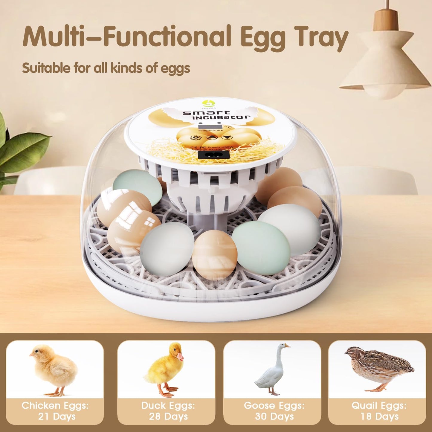 Incubators for Hatching Eggs Quail Egg Incubator 12 Eggs with Automatic Egg Turning and Humidity Control 360° Viewing for Chicken, Ducks, Goose, Pigeon for Lab Farm and Home