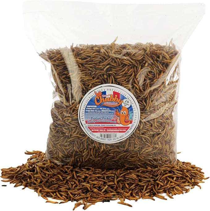 Chubby Dried Mealworms 6 Lbs - Grown in The EU - Non-GMO Mealworms for Chicken & Birds - Chicken Feed Treats for Laying Hens (6 Lb)