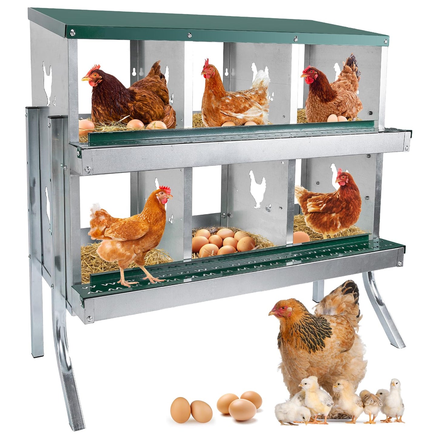 POWLAB 6 Compartment Chicken Nesting Box - Heavy Duty Metal Coop with Roll Away Egg Collection, Perch, Lid Cover for Egg Protection - Wall Mount/Free Standing Nest Box for Chickens, Hens, Ducks