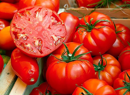 Beefsteak Tomato Seeds for Planting – Heirloom, Large & Juicy – One of The Most Delicious Tomatoes for Home Growing – Vegetable Seeds for Planting - Grown in The USA