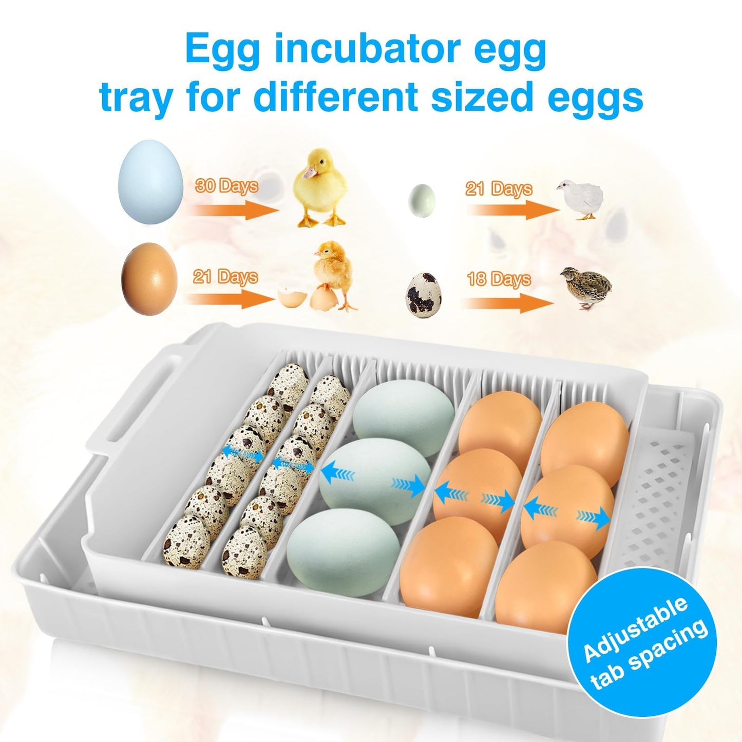 Incubators for Hatching Eggs 15-35 Eggs Incubator with Automatic Egg Turning and ℉Temperature Display LED Candler Poultry Incubator for Hatching Chicken Duck and Quail Incubator (Blue)