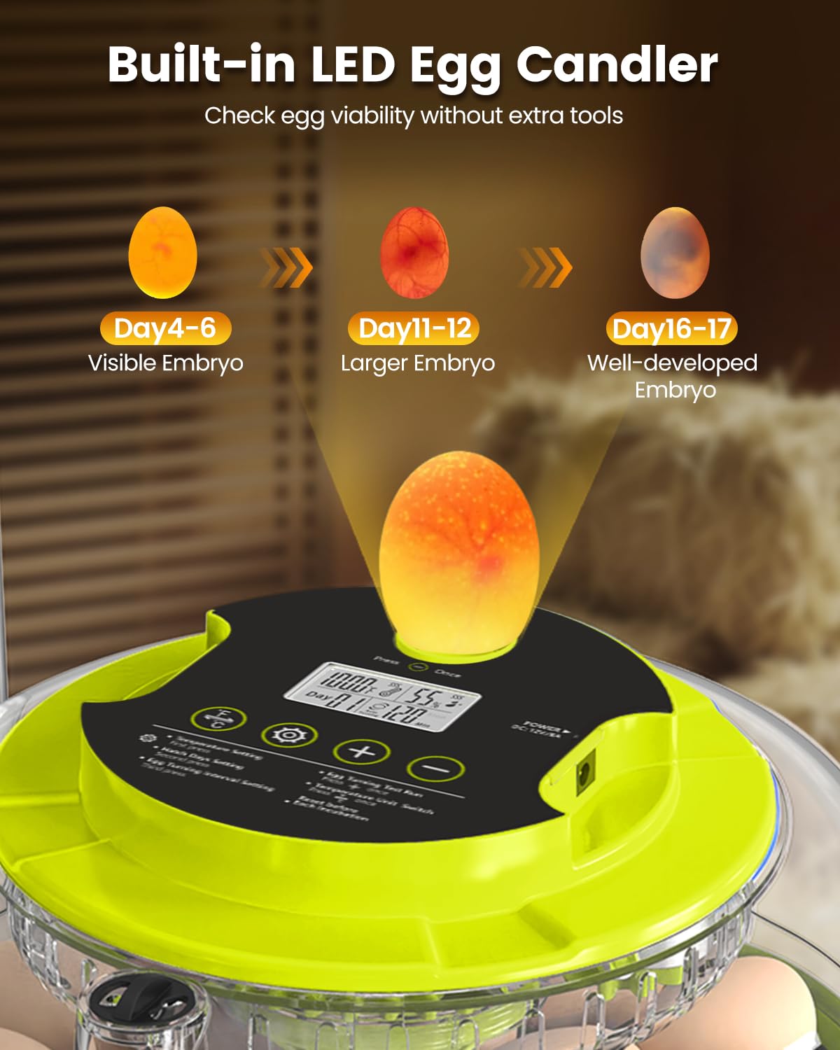Incubator for Hatching Eggs, 18 Eggs Capacity, Incubators with Egg Candler, Automatic Egg Turner, Temperature & Humidity Control, Full Viewing for Chicken, Duck, Quail, Goose, Parrot, Pigeon