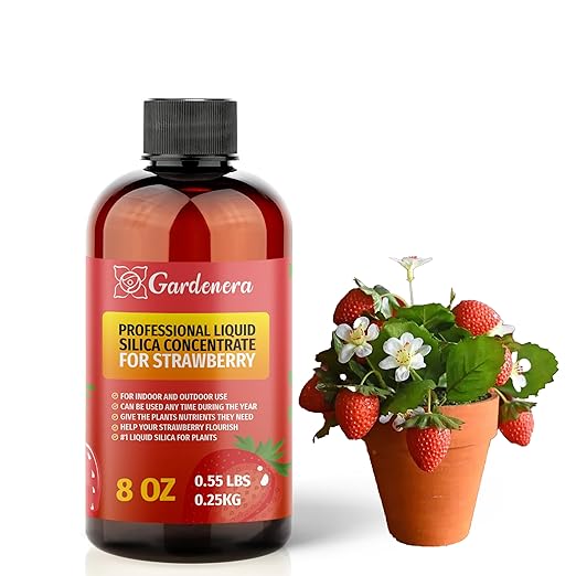 𝐏𝐑𝐄𝐌𝐈𝐔𝐌 Liquid Silica Plant Supplement - 8oz (250mL) - Strawberry Plants Liquid Silica Boost Fertilizer - Stronger Stems & Healthy Leaves for Indoor & Outdoor Strawberries (Makes 45 Gallons)