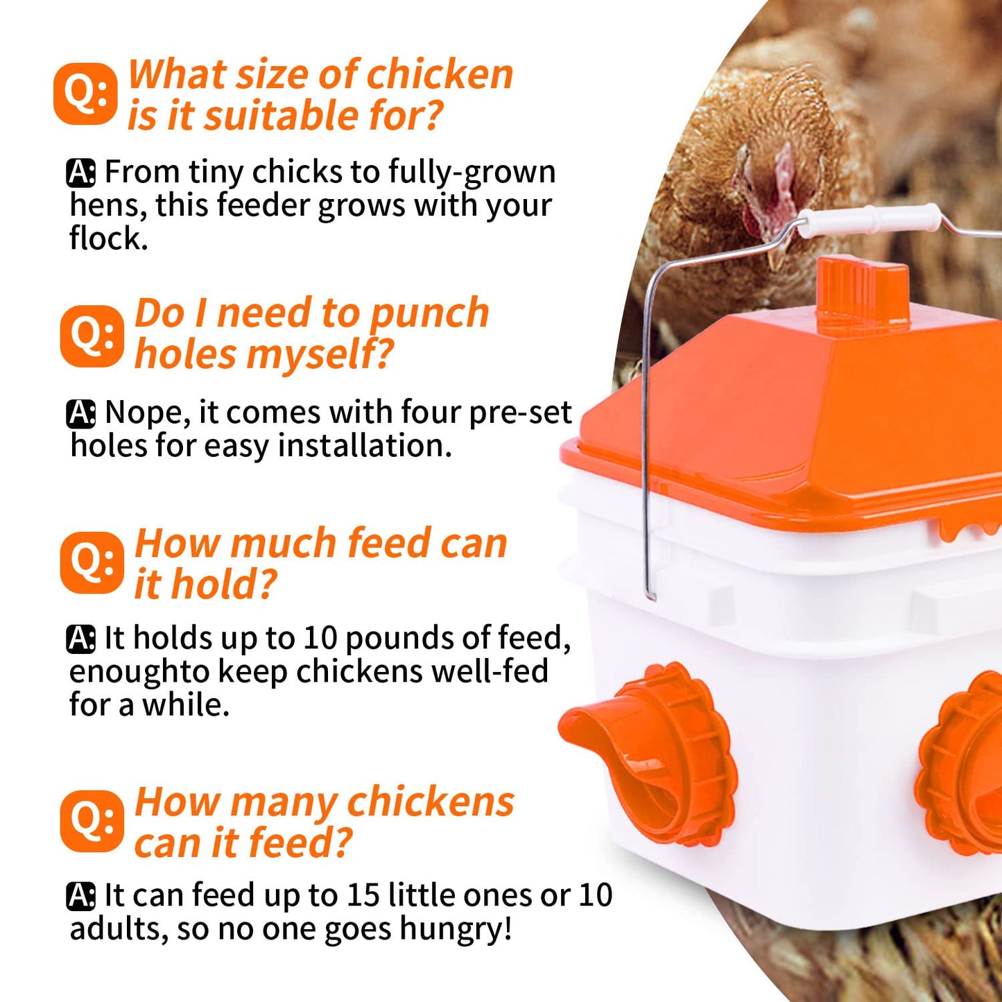GUEOQTC-10 Pounds Chicken Feeder with 4 Ports, Rainproof Poultry Feeder for Up to 10 Adult Chickens or 15 Chicks（Patented Products）
