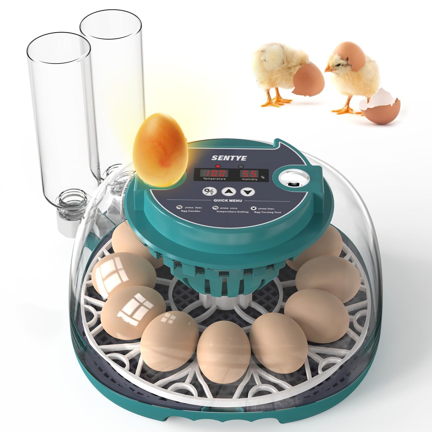 12 Egg Incubator with Automatic Egg Turning and Humidity Control, Egg Incubators for Hatching Eggs, Incubator for Chicken Eggs, Quail Eggs