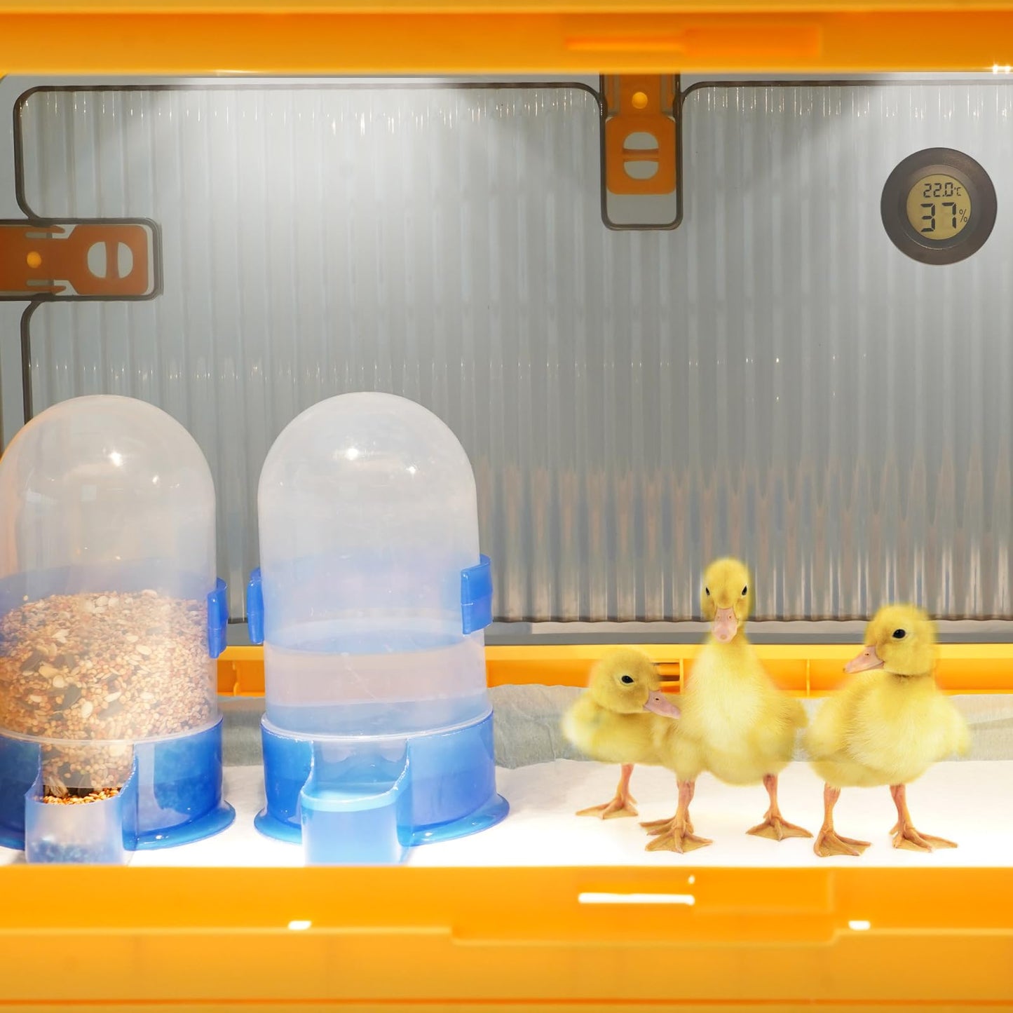 Chick Brooder Box for Chicks, Brooder Box with Feeder and Waterer, Brooder Heater Warms up to 20 Chicks, Poultry Breeding Box Suitable for Chick Duckling Parrot Lizard (Large)