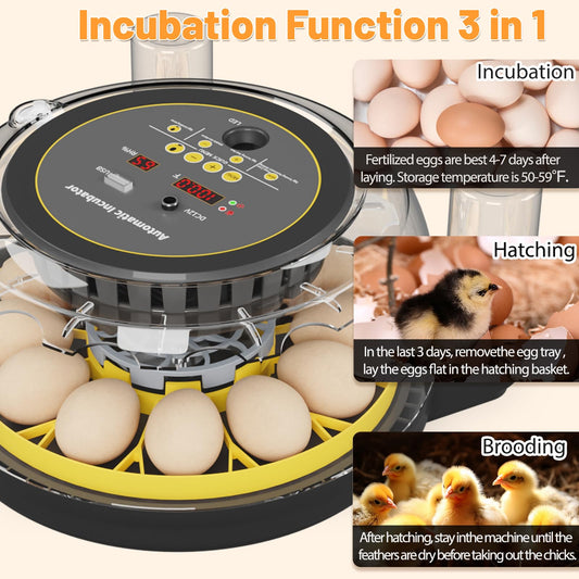 12 Incubators for Hatching Eggs, Egg Incubator with Automatic Egg Turning and Humidity Control, Incubator for Chicken Eggs, Egg Candler, Hatching Eggs for Chick Quail Duck, with Water Bottles -Black