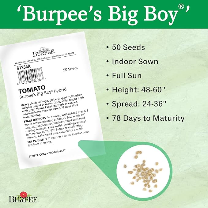 Burpee Big Boy Tomato Seeds 125 seeds