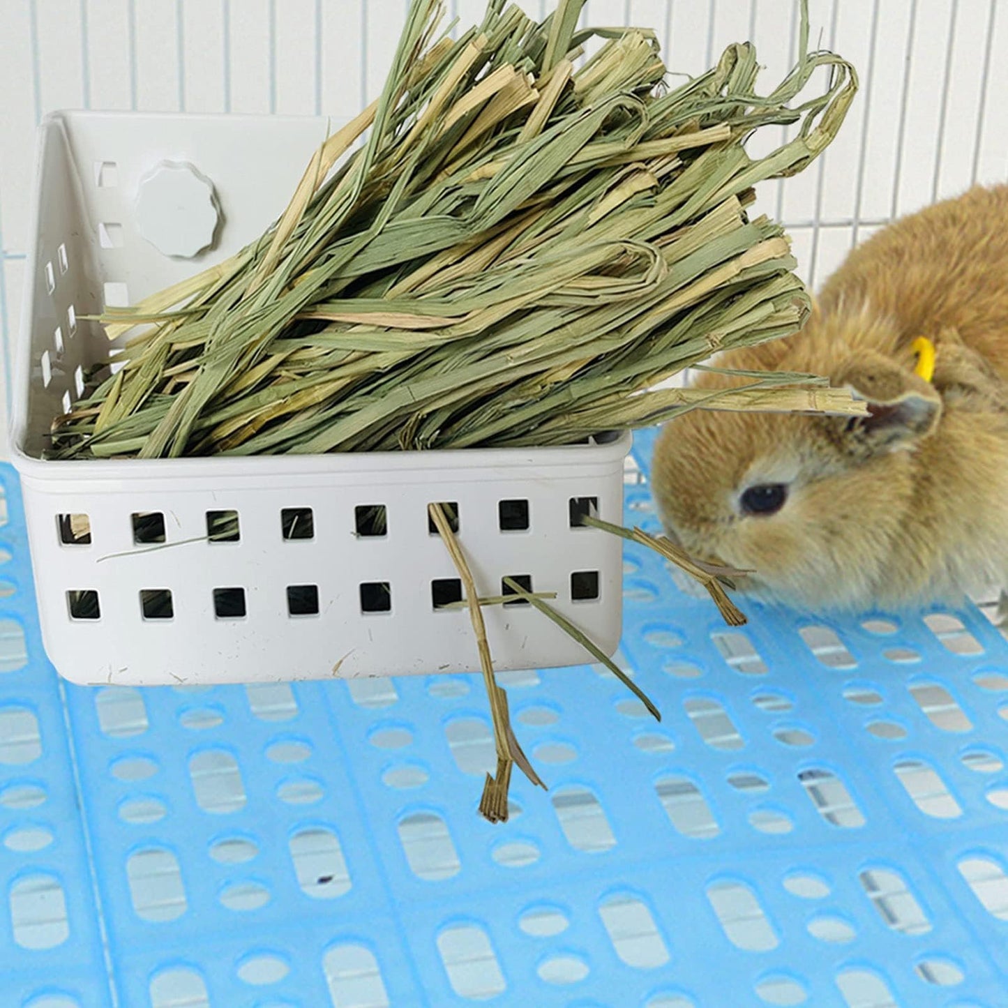 kathson Large Rabbit Hay Feeder Guinea Pig Hay Manger Holder Bunny Hay Feeder for Small Animal Chinchilla Ferret (12.5 X 4.5 X 5.3 inch)