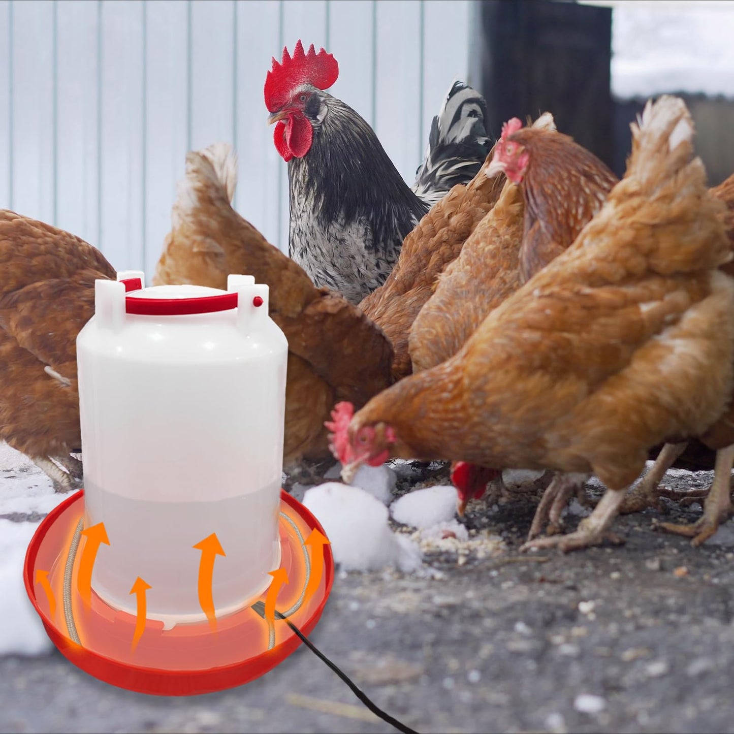 Heated Chicken Waterer Cord – Freeze-Proof Poultry Water Heater for Winter, Prevents Water Freezing in Drinkers for Chickens, Ducks, Rabbits & Small Animals - 1 Pack (Excluding Chicken Waterer)