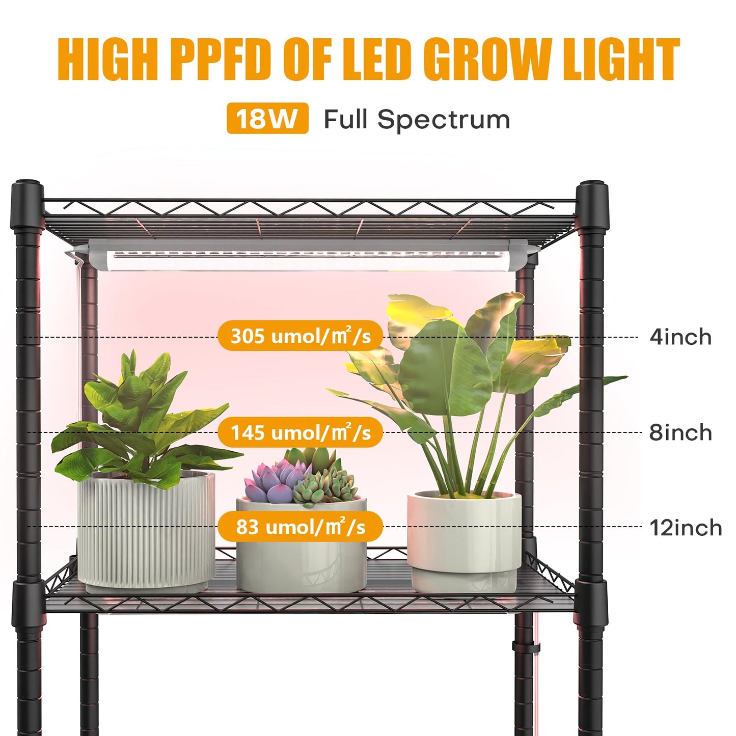 Mini 5-Tier Greenhouse for Indoor Outdoor and Indoor Greenhouse with Grow Lights