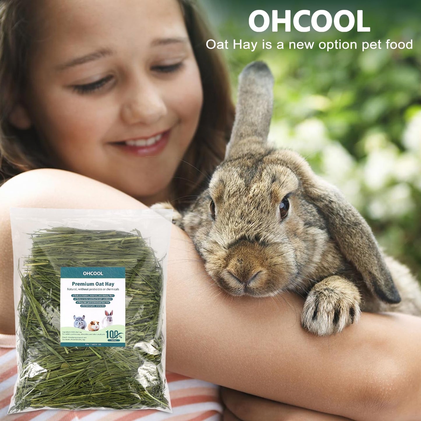 Ohcool Premium Oat Hay for Pets - Dust Free Natural Green Fresh Pet Food Hay for Rabbits, Guinea Pigs, Chinchillas, Hamsters & Gerbils - 1.1lbs