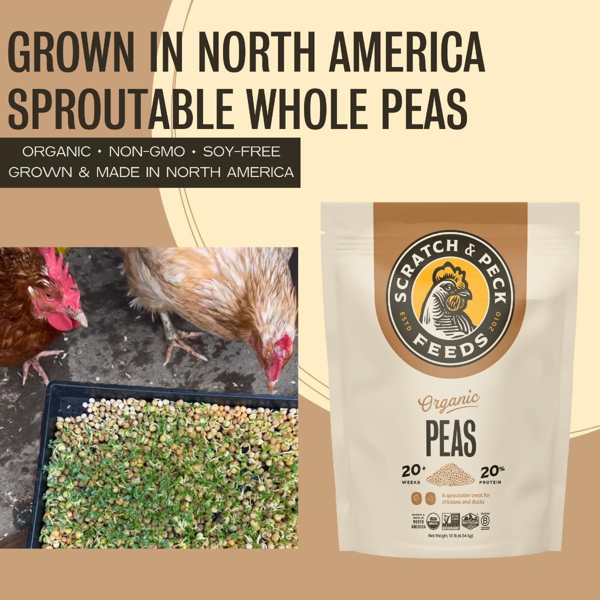 Scratch and Peck Whole Peas Chicken, Duck and Livestock Supplemental Grain - 10 lbs Bag - 20% Protein, Certified Organic and Non-GMO Project Verified Chicken Food