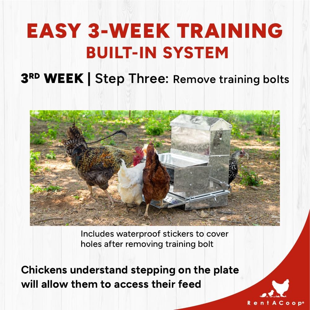 RentACoop Automatic Metal Treadle Feeder - Outdoor Use, Rainproof - Suitable for Chickens, Bantams, Poultry, Pheasants, etc. - 40lb Capacity