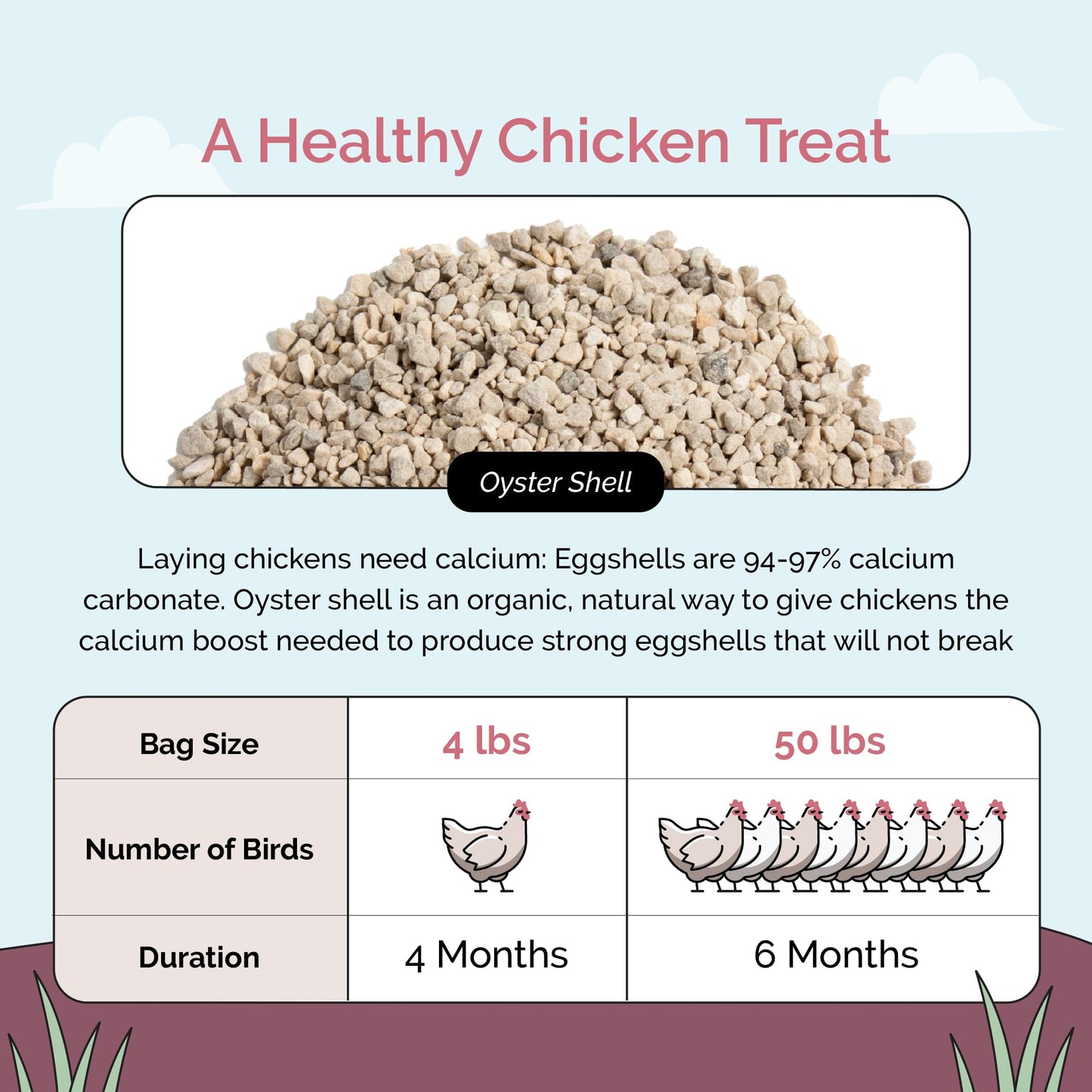 Mile Four Oyster Shell for Chickens - Calcium Supplement for Chickens, 100% Natural Limestone Calcium Carbonate, Strong Eggshell & Bone Booster, 4 lbs