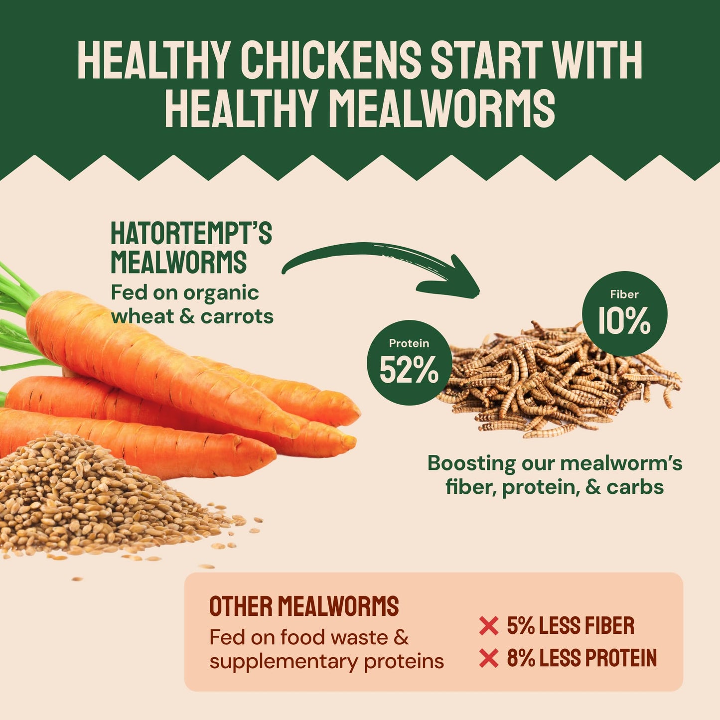 Hatortempt Chicken Feed Dried Mealworms - 5 Lb, Non-GMO & Organic - High-Protein Mealworms for Wild Birds & Ducks, Chicken Treats & Bird Food