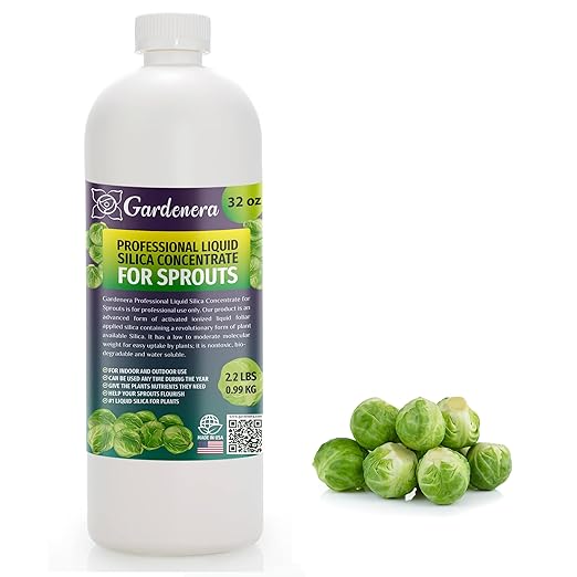 𝐏𝐑𝐎𝐅𝐄𝐒𝐒𝐈𝐎𝐍𝐀𝐋 Liquid Silica Plant Supplement - 32oz - SPROUTS Plants Liquid Silica Boost Fertilizer - Stronger Stems & Healthy Leaves for Indoor & Outdoor Sprouts Plants (Makes 180 Gallons)