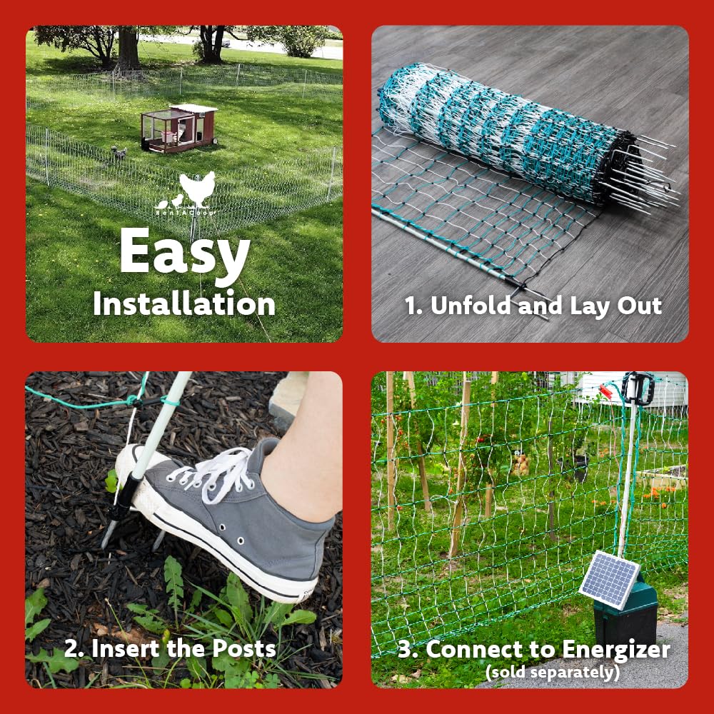 RentACoop Poultry Netting Electric Fence - Electric Poultry Enclosure for Chickens, Ducks, Turkeys - Suitable for 4 Week Old Chickens/Older and Adult Poultry - Energizer Not Included - 168' L x 48" H