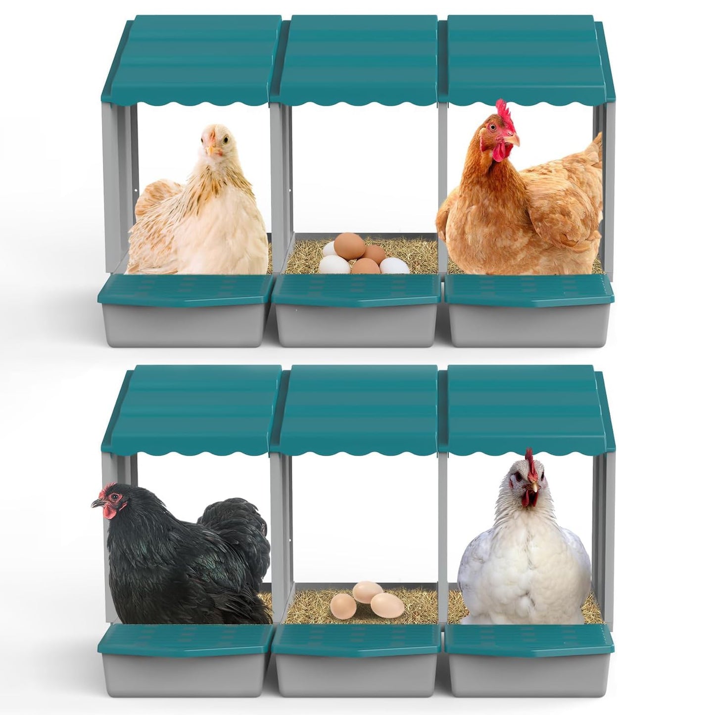 JELSVOP Nesting Boxes for Chickens, Chicken Nesting Boxes with Egg Collection & Perch for Easy Picking Protecting Eggs, Nesting Boxes for Laying Eggs with 6 Compartments