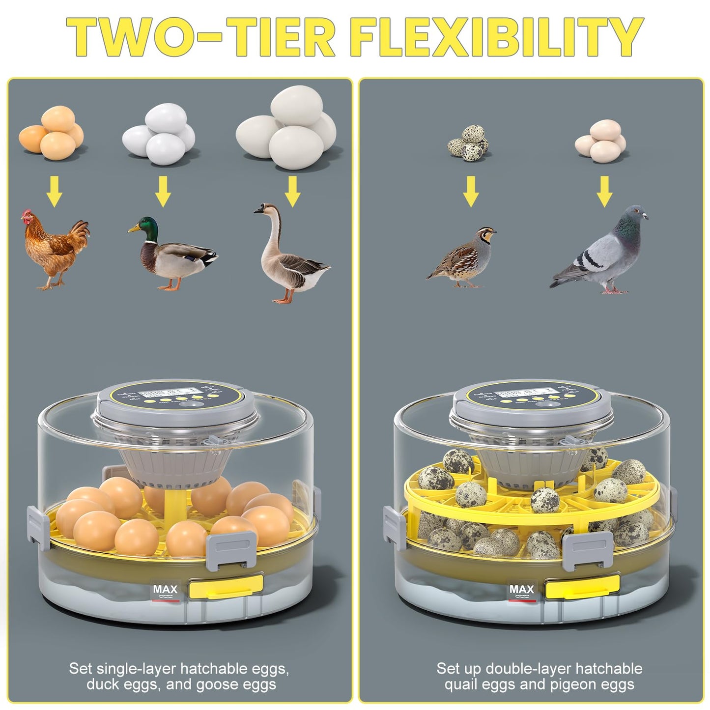 Incubators for Hatching Eggs with Automatic Egg Turner, Temperature Humidity Control, Egg Candler, Large Water Tank, 5 Preset Hatching Modes for Chicken Duck Goose Quail Pigeon Eggs-12 Capacity