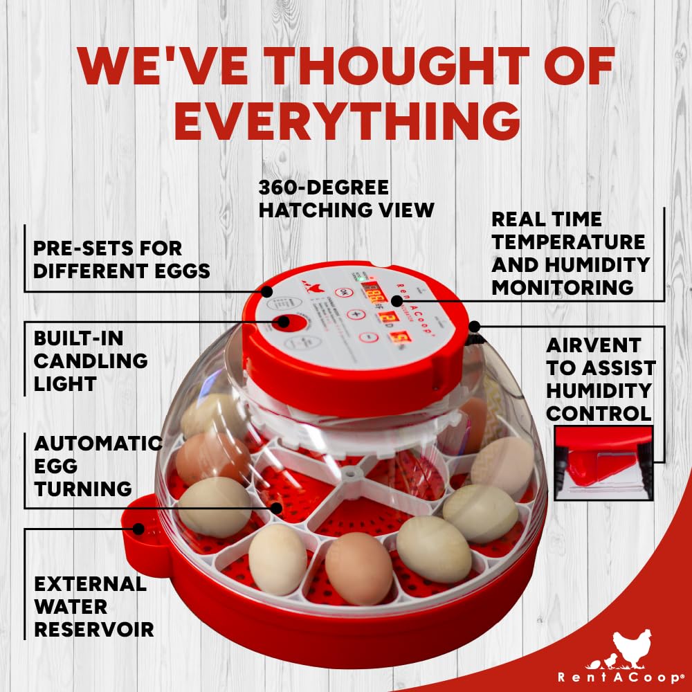 RentACoop 16-Egg Smart Incubator – App Controlled, Auto-Turn, Built in Candeling Light Perfect for Chickens, Ducks, and Quail!