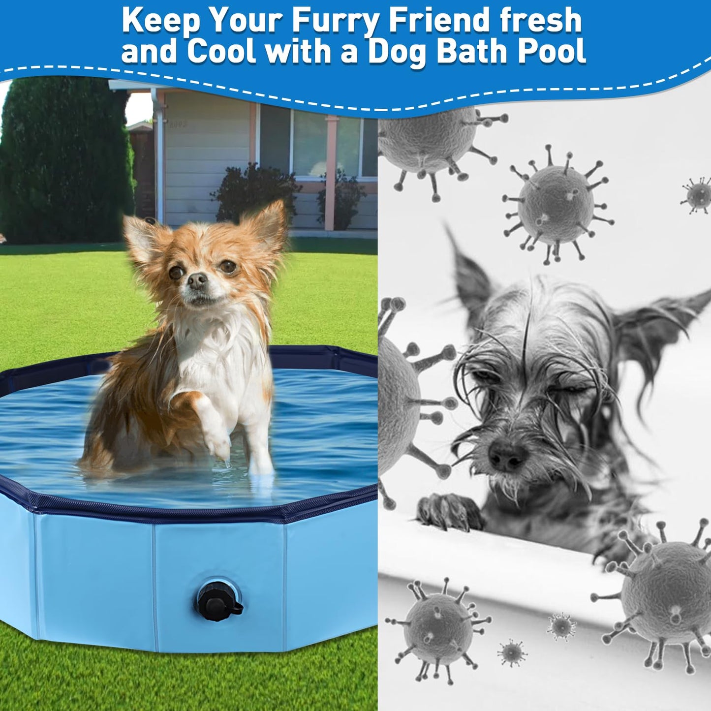 Hdnbsp Foldable Duck Pool, Portable Hard Plastic Duck Pond Tub, Collapsible Duck Pools for Pet Ducks, Dogs and Cats – Indoor & Outdoor Use, Hard Shell, Easy to Clean and Store