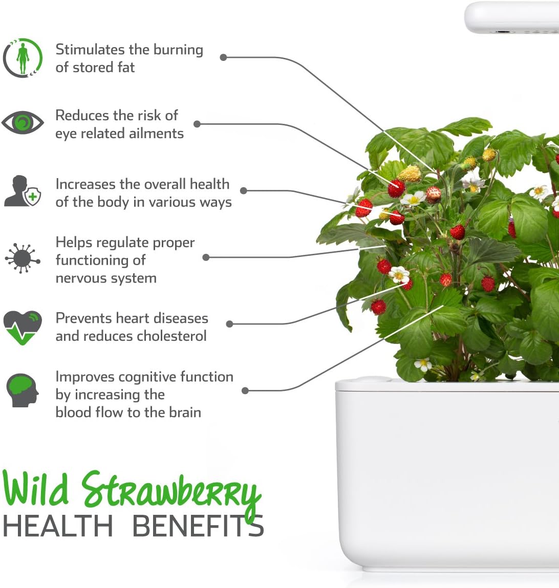 Click and Grow Bundle Smart Garden 9 Gray with 18 Plant Pods: Starter Kit (3 Basil, 3 Lettuce, 3 Mini Tomato) with 3 Wild Strawberry, 3 Thyme and 3 Romaine Lettuce