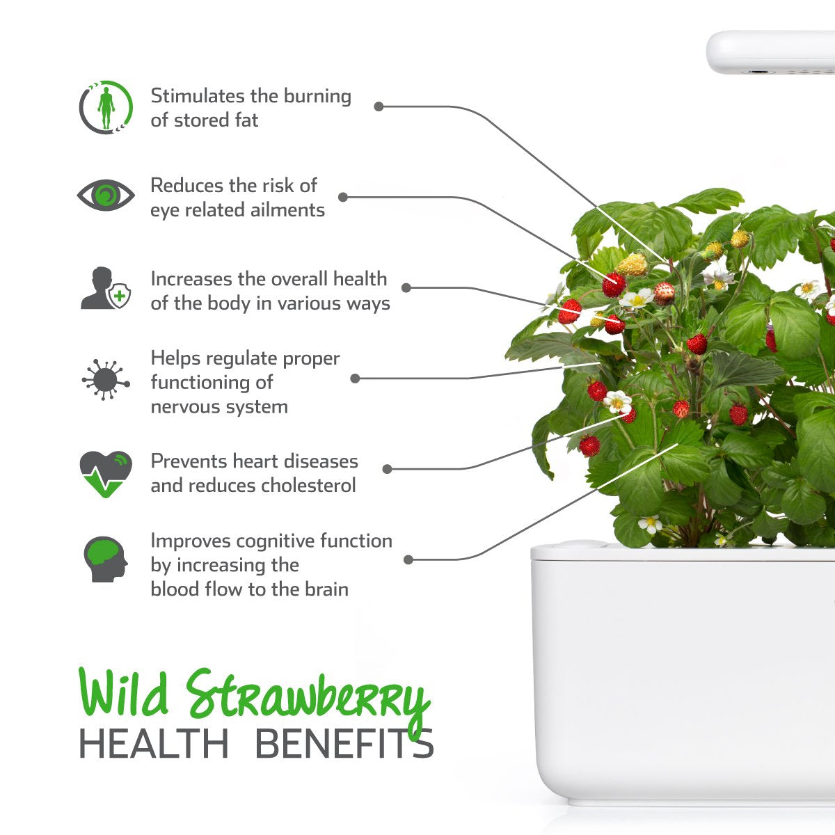 Click and Grow Bundle Smart Garden 9 Gray with 18 Plant Pods: Starter Kit (3 Basil, 3 Lettuce, 3 Mini Tomato) with 3 Wild Strawberry, 3 Thyme and 3 Romaine Lettuce