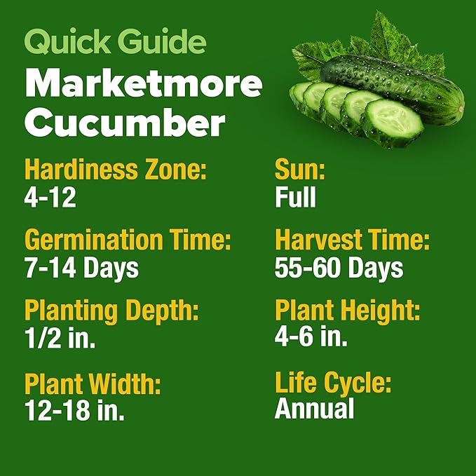 HOME GROWN Organic Cucumber & Cherokee Purple Tomato Seeds – 200 Marketmore Cucumber Seeds + 106 Heirloom Tomato – Non-GMO, High Germination Rate, Ideal for Raised Beds & Containers, USA-Sourced