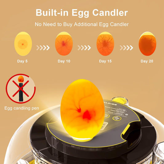 IBKINXX Incubator for Hatching Eggs-18 Egg Capacity, Automatic Egg Turner, Temperature & Humidity Control, 360° Viewing for Chicken, Duck and Quail Eggs