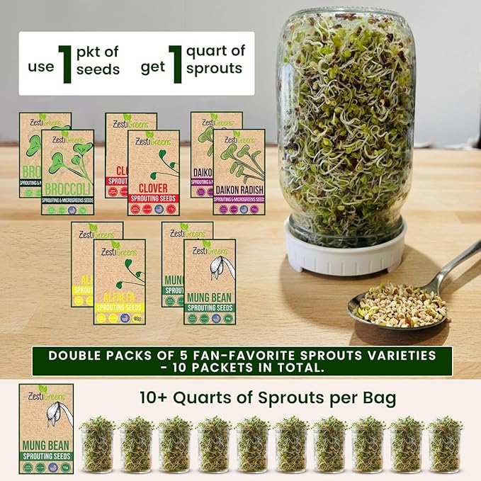 ZestiGreens Sprouting Seed Sampler – 5 Top Varieties (2 Packs Each, 11 g) | Broccoli, Alfalfa, Mung Bean, Clover & Daikon Radish | High-Germination, Perfect for Jars & Trays