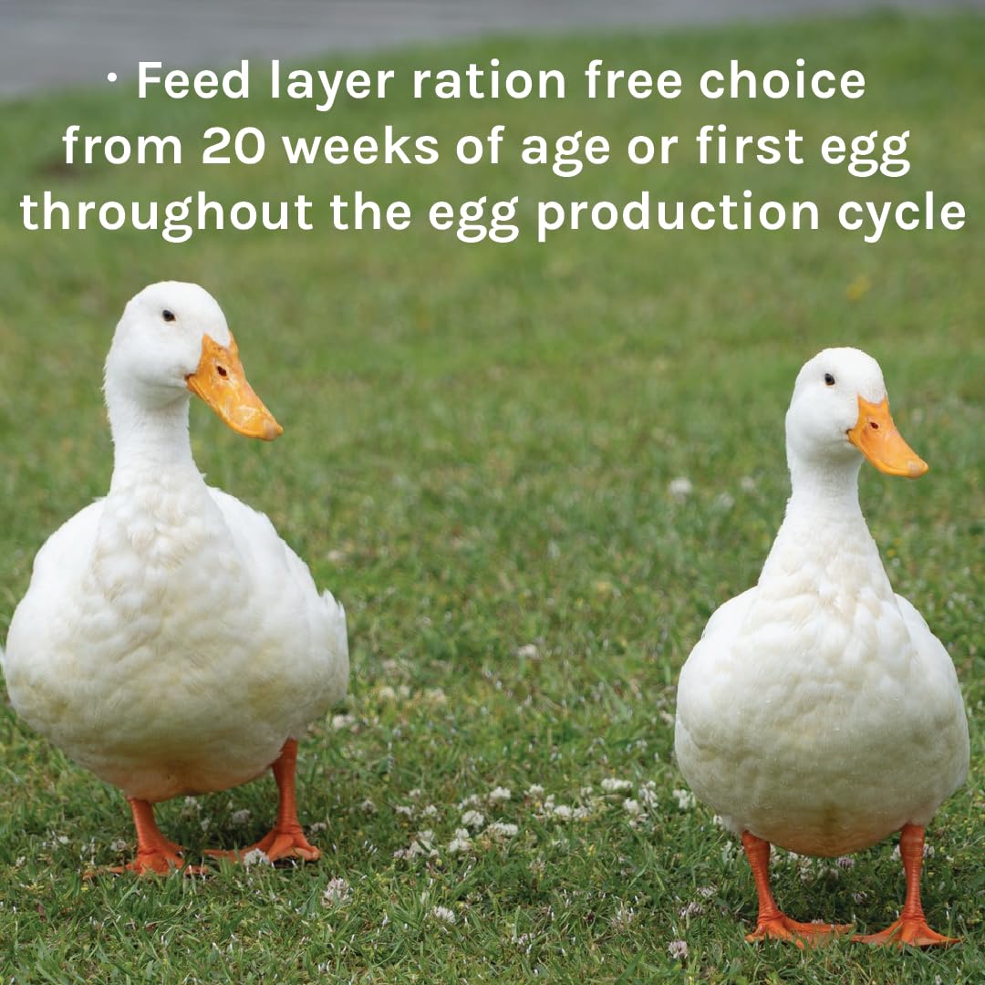 New Country Organics - Duck Layer Feed - Adult & Laying Duck Food - Soy-Free, 17% Protein - Certified Organic & Non-GMO - 40 lbs