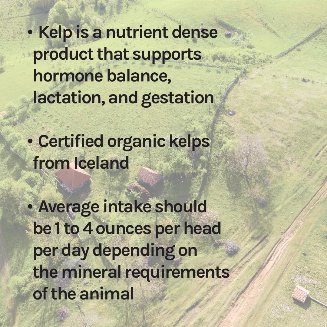 New Country Organics I Organic Kelp Supplement for Cattle, Goats & Horses I Certified Organic Non-GMO, Natural Mineral Blend I Sea Kelp Powder with Essential Calcium & Phosphorus I 40 lbs