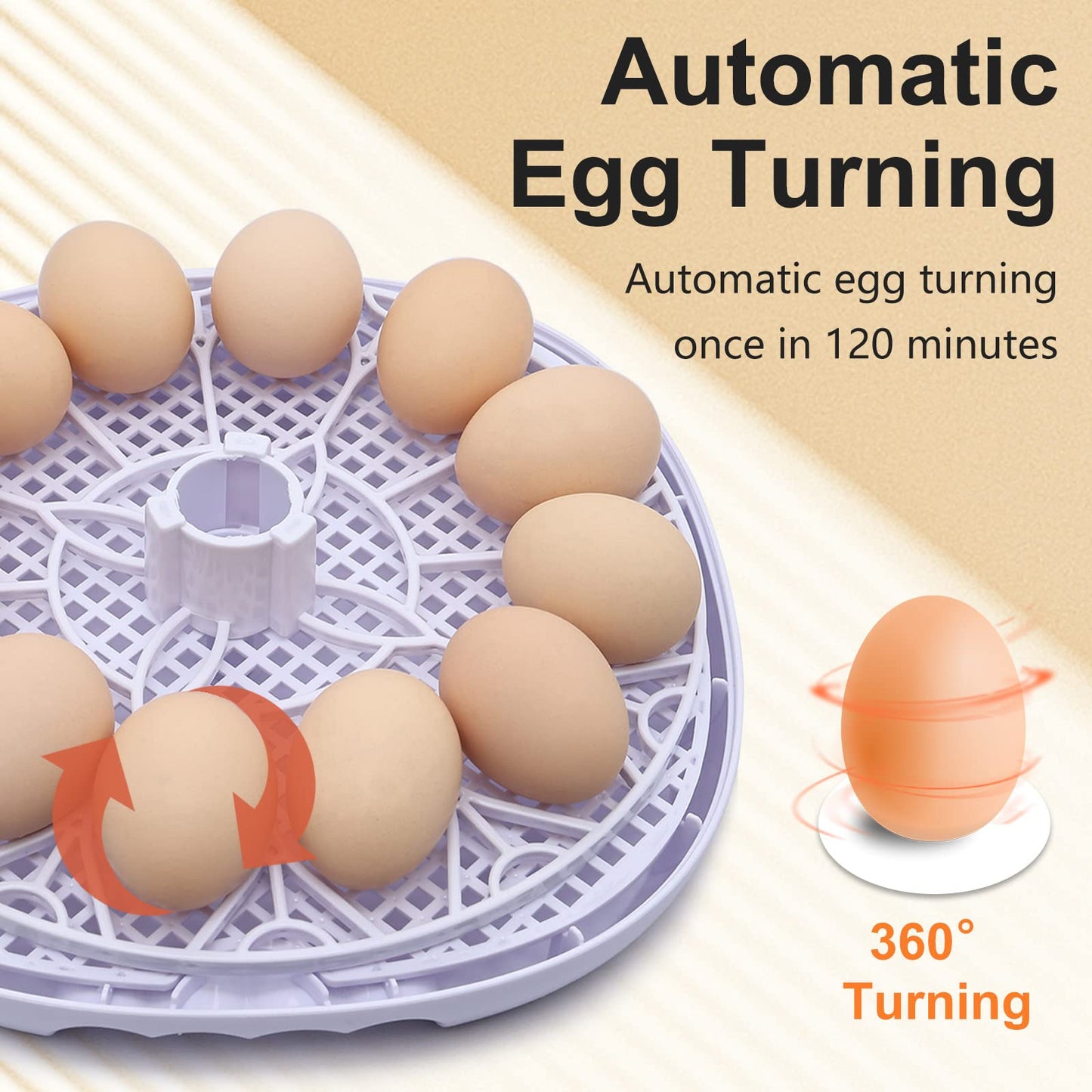 NORJIN Egg Incubator, 12 Eggs Incubator for Hatching Eggs, Digital Incubator Chicken Egg Incubator with Automatic Egg Turning and Water Adding for Hatching Chickens Birds Ducks