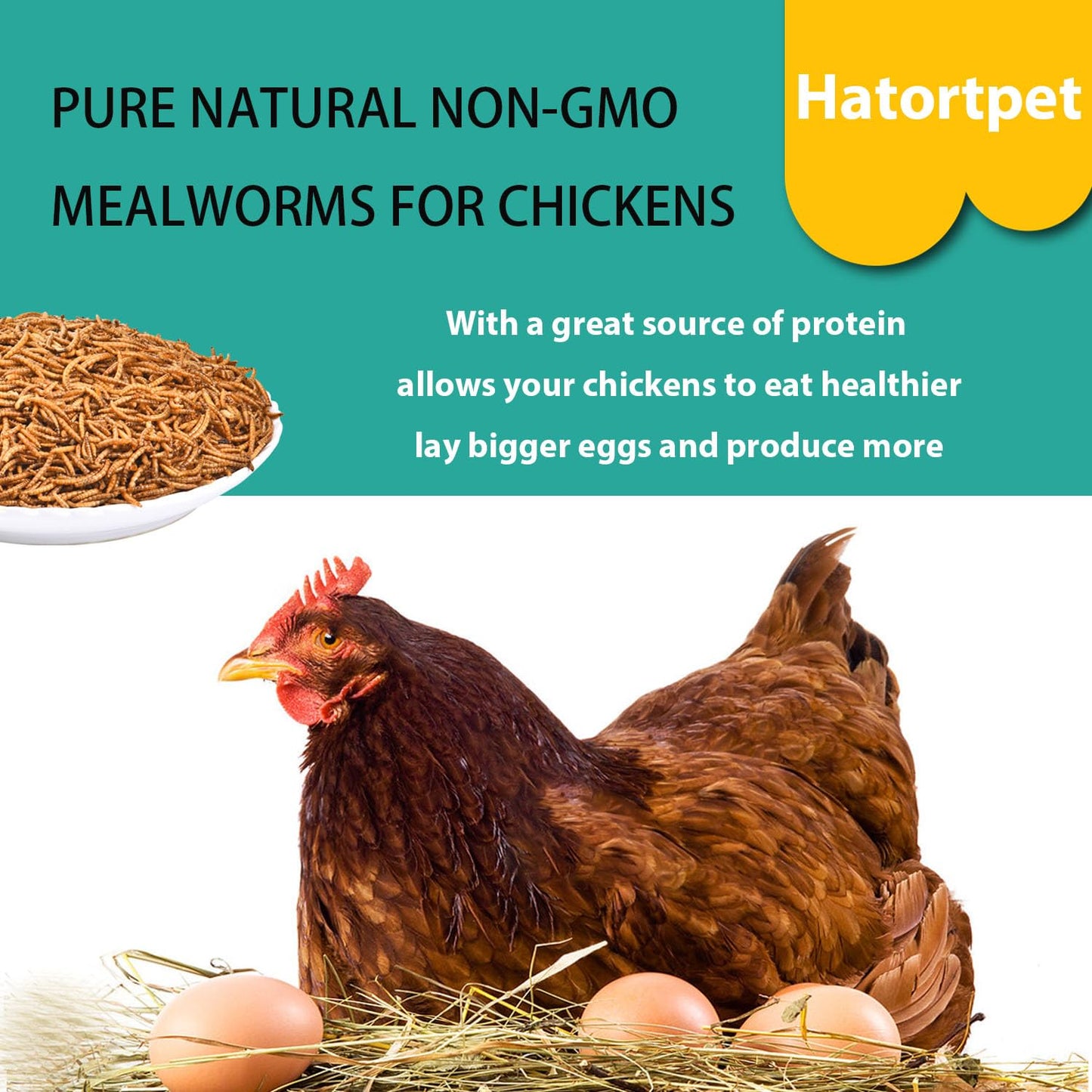 hatortpet Dried Mealworms 10LB Pure Natural Non-GMO Mealworms for Chickens High Protein Chickens Feed Meal Worms for Laying Hens Wild Birds