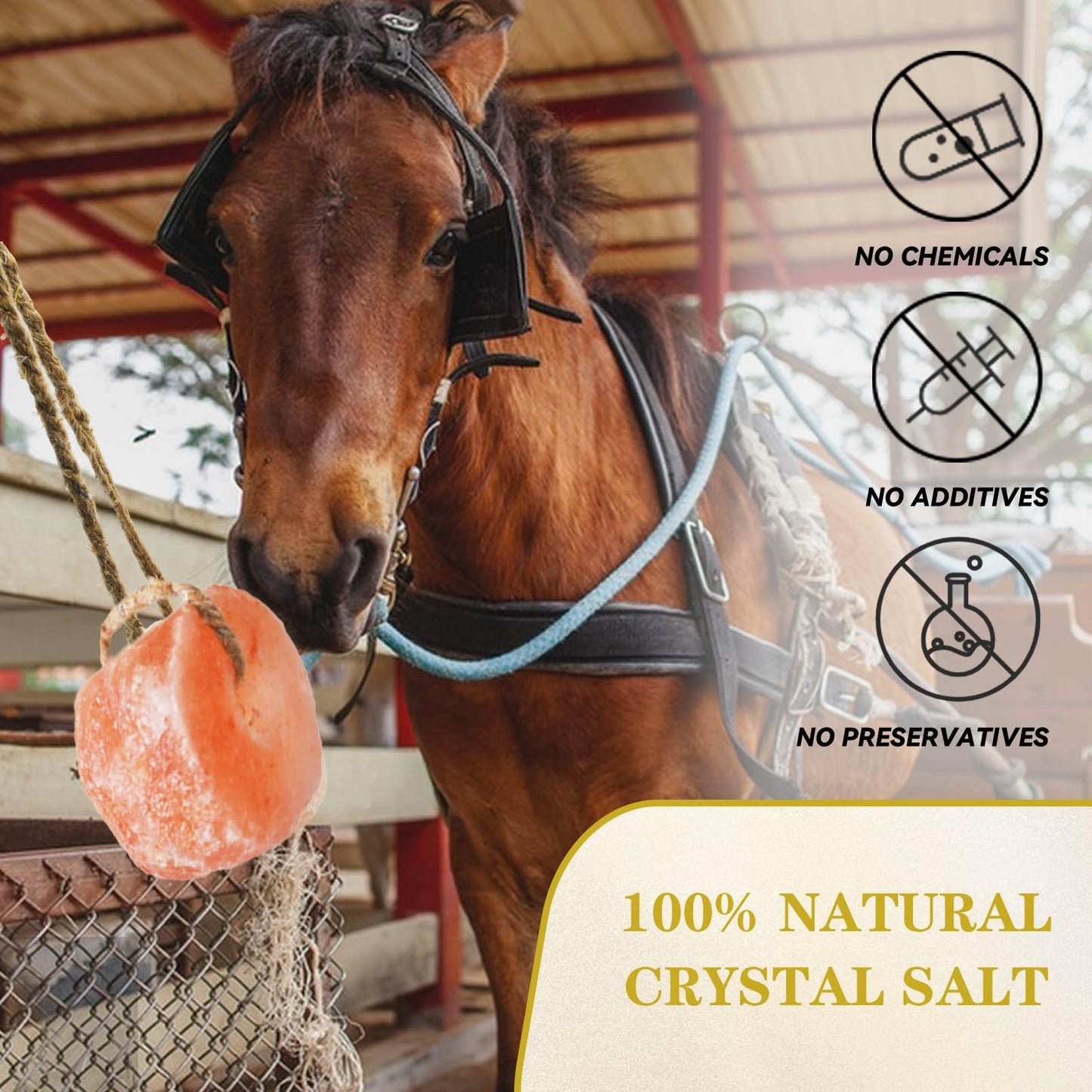 kathson Hanging Salt Lick for Horses Pack of 3,Himalayan Salt Blocks for Horse Natural Organic Mineral Salt Block Licking Salt Licks for Horses Cattle Deer Goats Cows and Other Livestock(10.55-12 LBS)