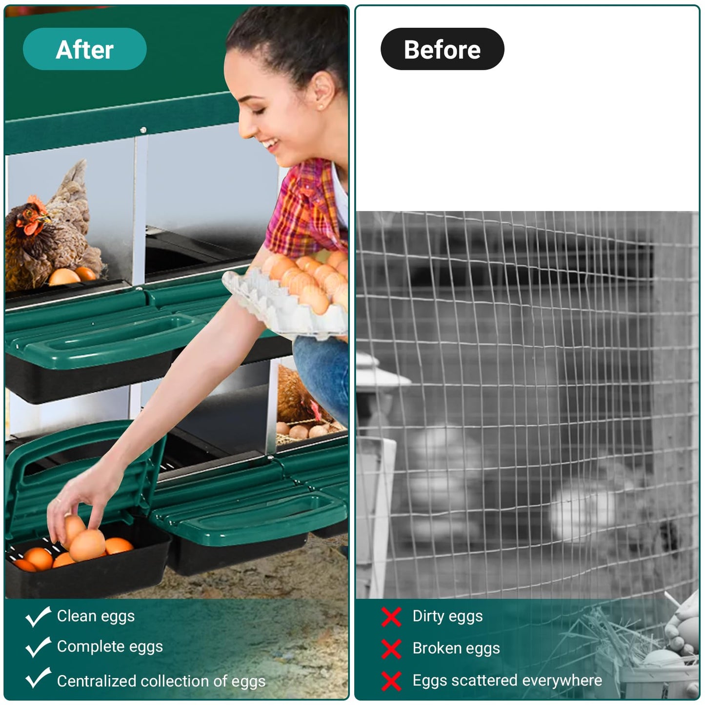 Garvee Chicken Nesting Boxes, 8 Hole Metal Chicken Laying Box with Removable Trays and Roll Out Egg Collection for Chicken Coop, with Metal Legs, Green