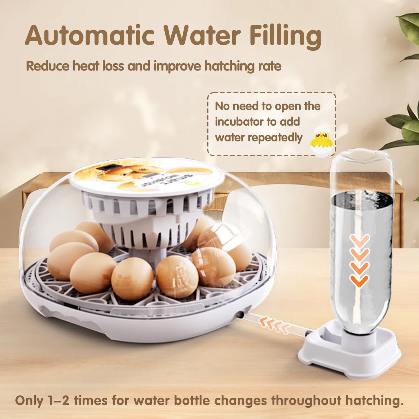 Incubators for Hatching Eggs Quail Egg Incubator 12 Eggs with Automatic Egg Turning and Humidity Control 360° Viewing for Chicken, Ducks, Goose, Pigeon for Lab Farm and Home